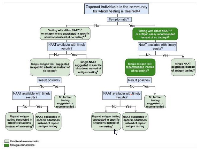The algorithm that separates individuals into symptomatic and asymptomatic groups