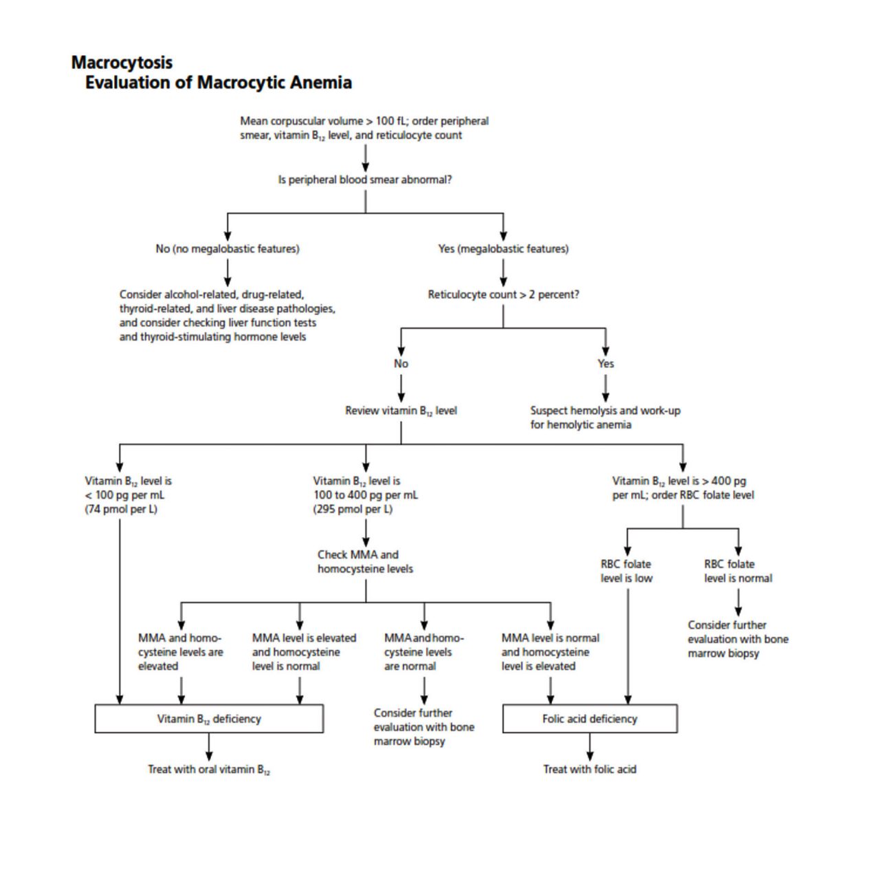 Macrocytosis Evaluation of Macrocytic Anemia