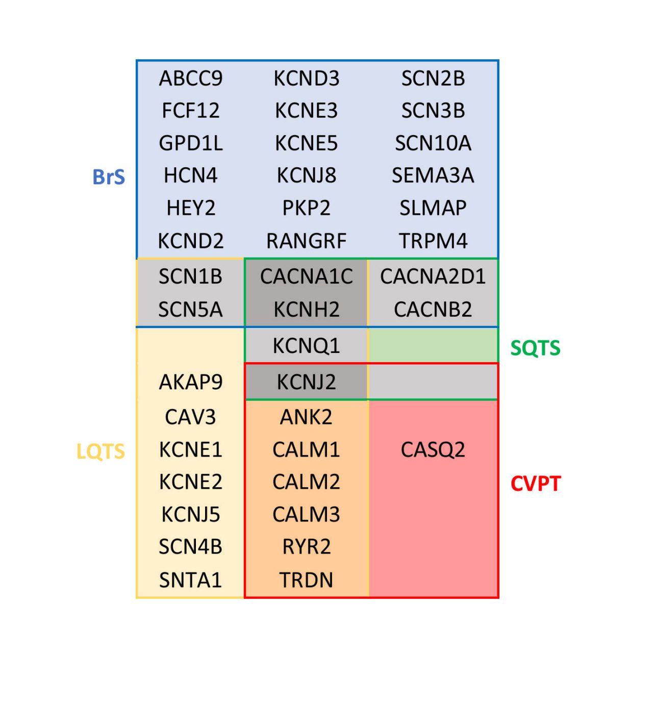 Figure 1: Clinical presentations of conditions overlapping