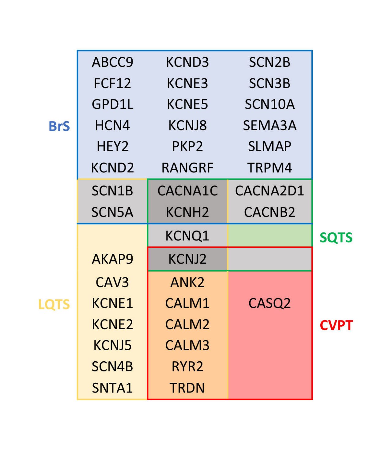 Figure 2: Clinical presentations of conditions overlapping