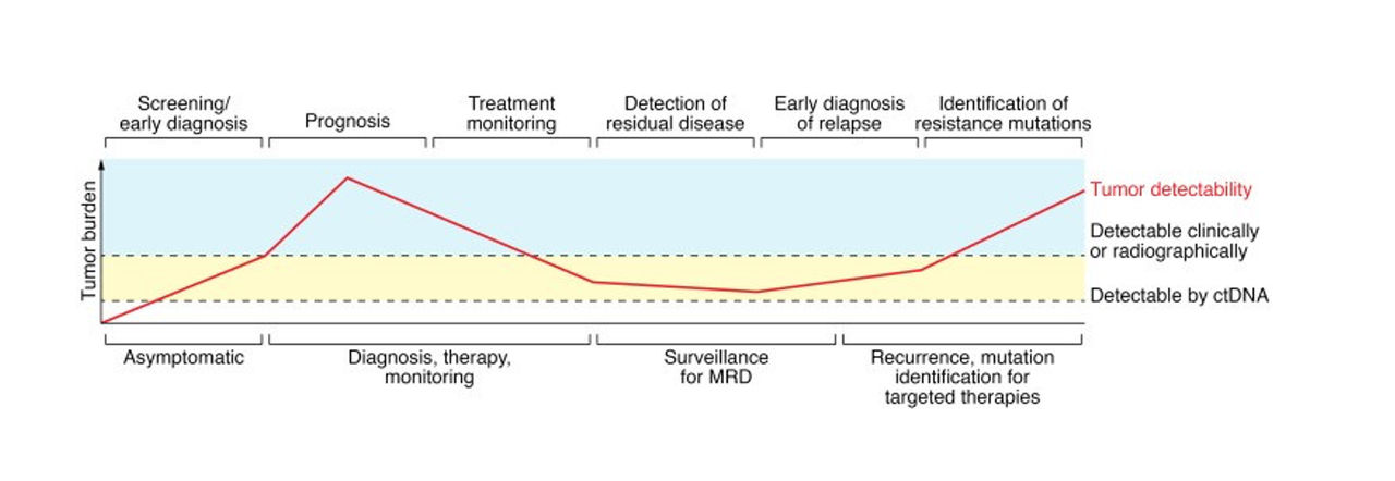 Positive benefits in the potential utility of ctDNA across the cancer spectrum