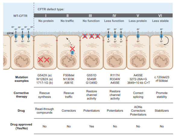 Figure showing 6 classes of CFTR mutations according to their effects on protein function.
