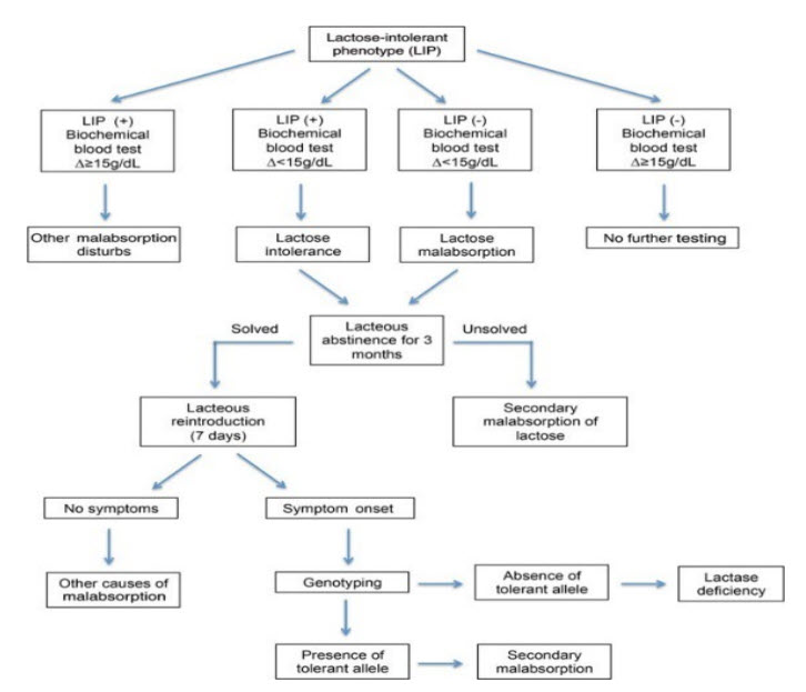 Use of genetic tests proposed as an adjunct to LI diagnosis