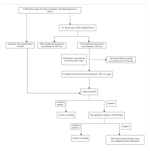 Results of the screening for DMD carriers