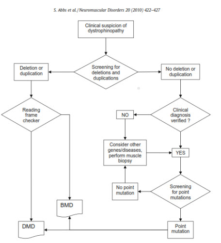 Figure 1: Flow chart for the diagnostic work-up of dystrophinopathy. 
