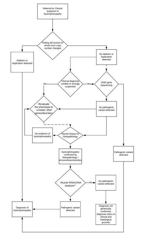 A flowchart for the recommended molecular diagnostic algorithm for dystrophinopathy