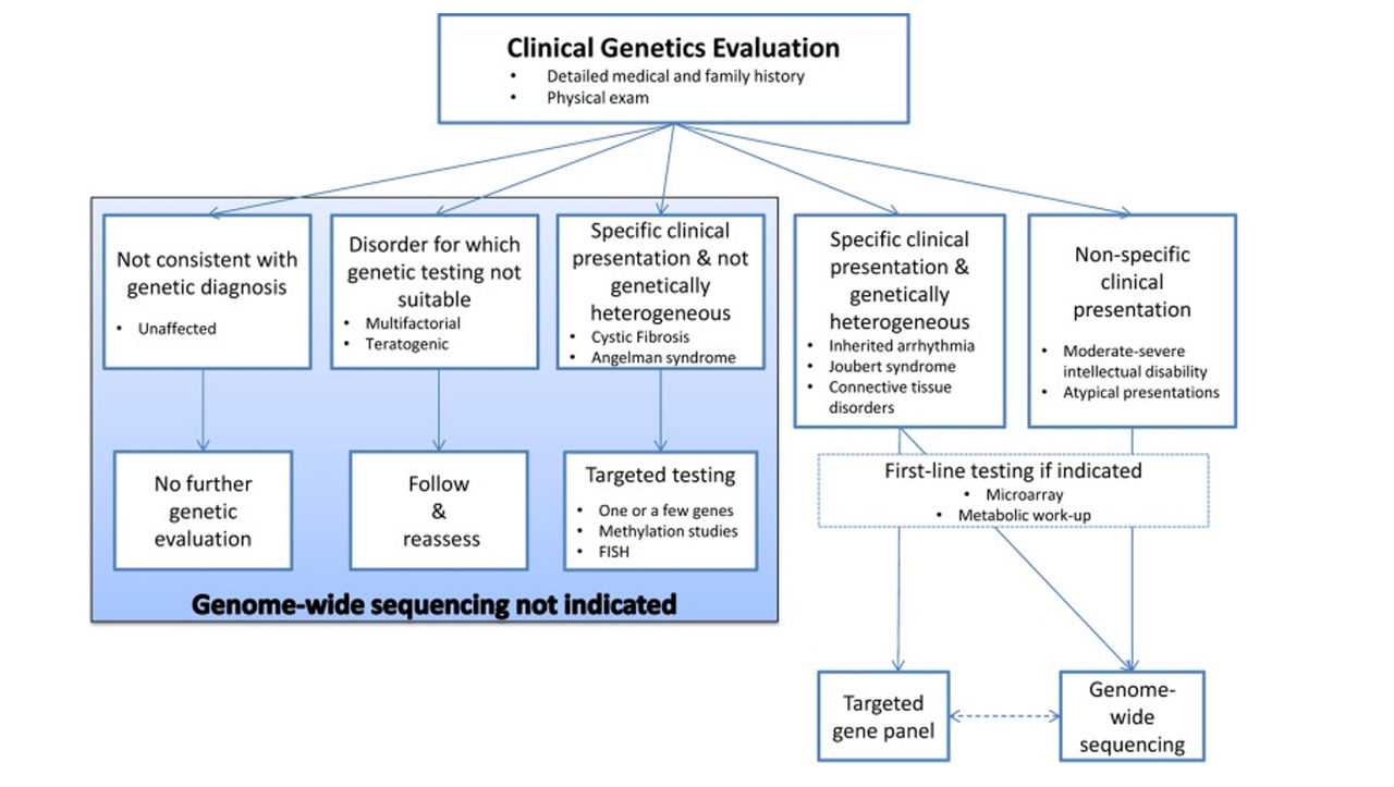Clinical genetics evaluation chart