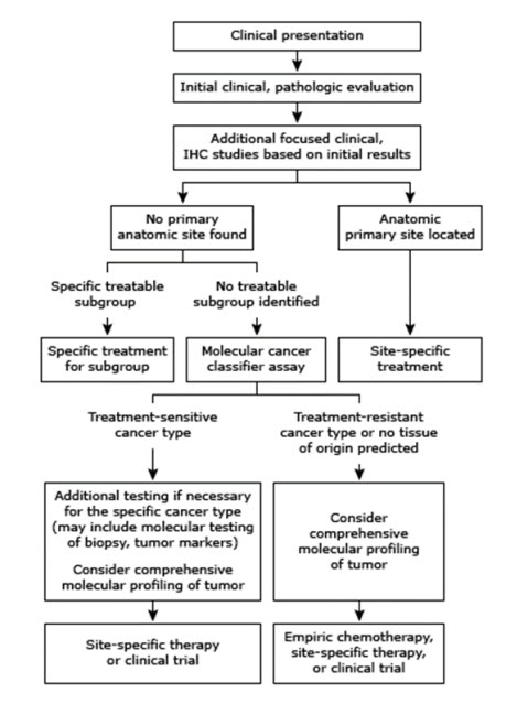 Evaluation of the four classifications