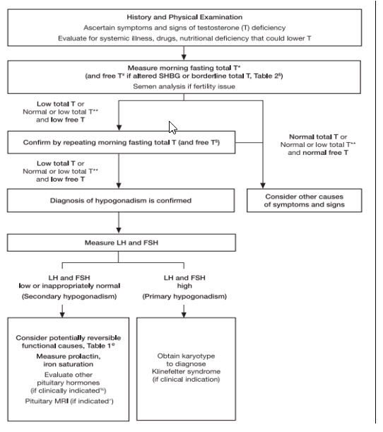 Algorithm for testing for hypogonadism