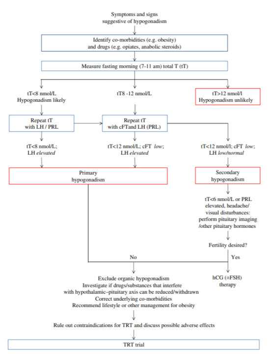 Proposed flow chart to diagnose and manage functional hypogonadism