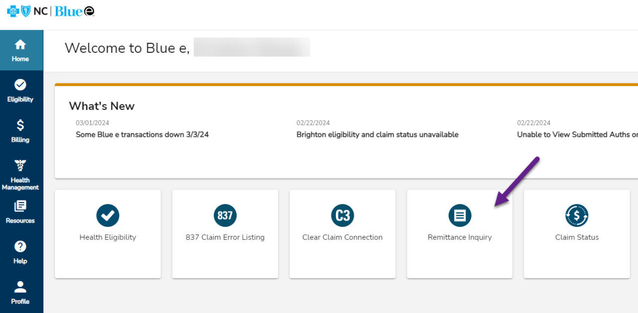 View your remittance via Blue e 